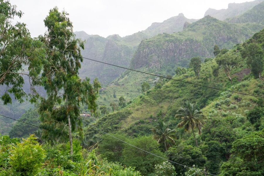 Serra Malagueta Natural Park: Hike to Gongon Valley & Lunch - Key points at a glance