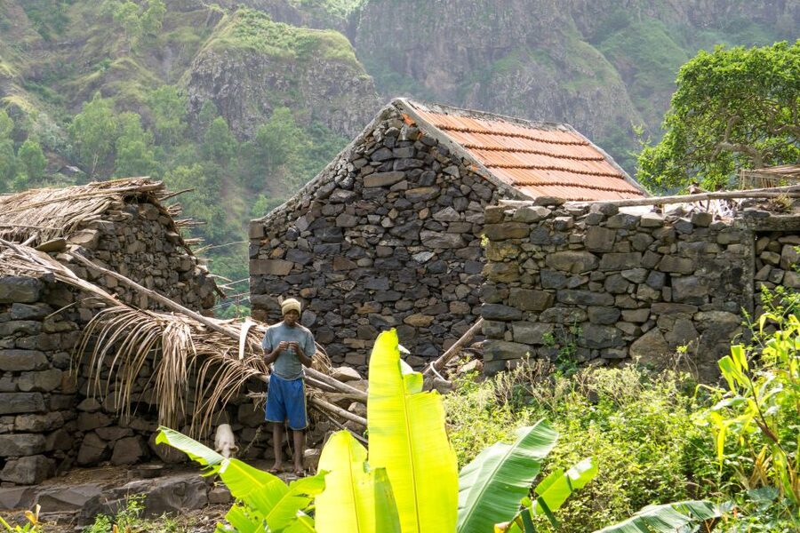 Serra Malagueta Natural Park: Hike to Gongon Valley & Lunch - Plants, birds, and the first mountain views