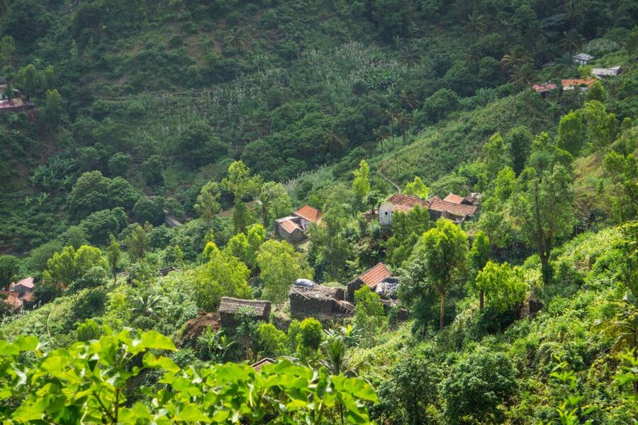 Serra Malagueta Natural Park: Hike to Gongon Valley & Lunch - Heat, rain, and what to pack