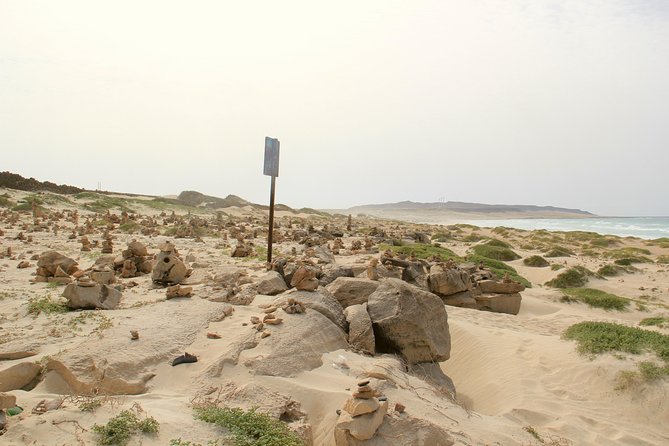 Shipwreck Cabo Santa Maria - The pace, group size, and guide style