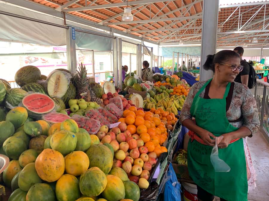 Shore Excursion: 3-Hour Praia & Cidade Velha Historic Tour - Is $64 a fair price?