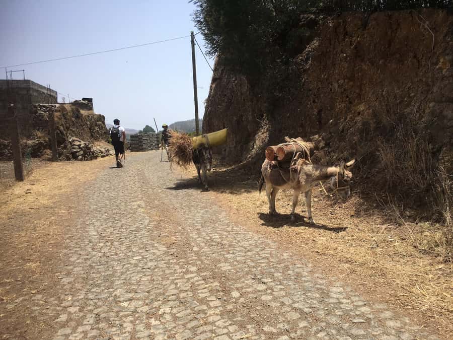Shore Excursion, Santo Antão, Full Day, Highlights by car - Povocao and lunch in Ribeira Grande