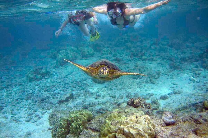Snorkeling Experience in Santa Maria Bay by boat - Key points to know before you book
