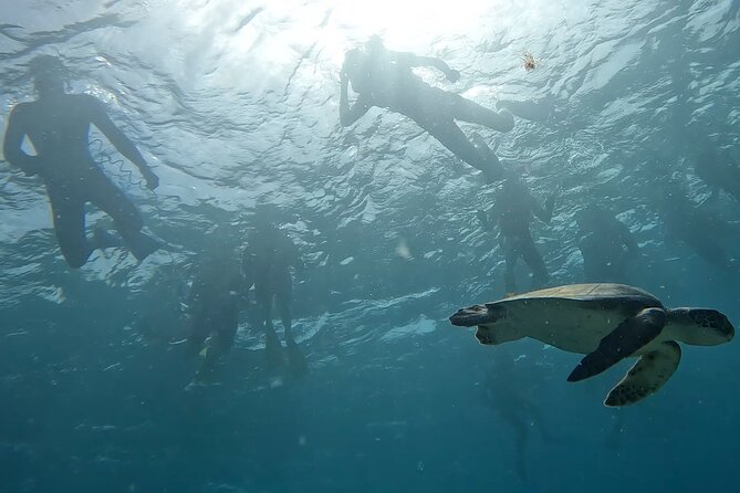 Snorkeling Experience in Santa Maria Bay by boat - Why the eight-person limit matters