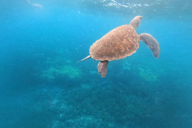 Snorkeling Experience in Santa Maria Bay by boat - Boarding the Zodiac at 2:00 pm