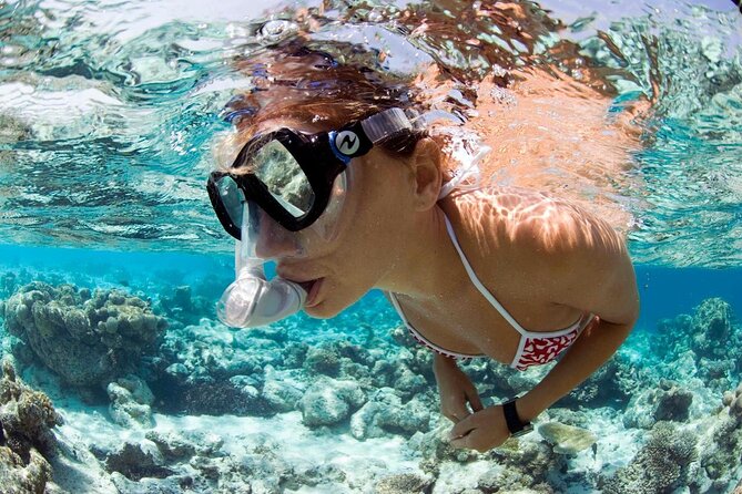 Snorkeling Tour - Calderinhia, the shallow wreck with a big boiler
