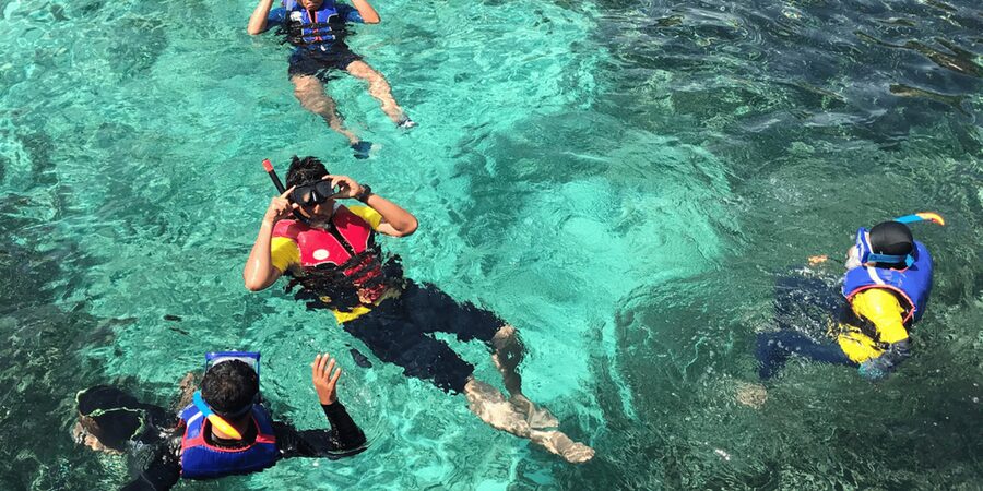 Snorkeling with turtles at Sao Pedro's Beach - The difficult question of feeding the turtles