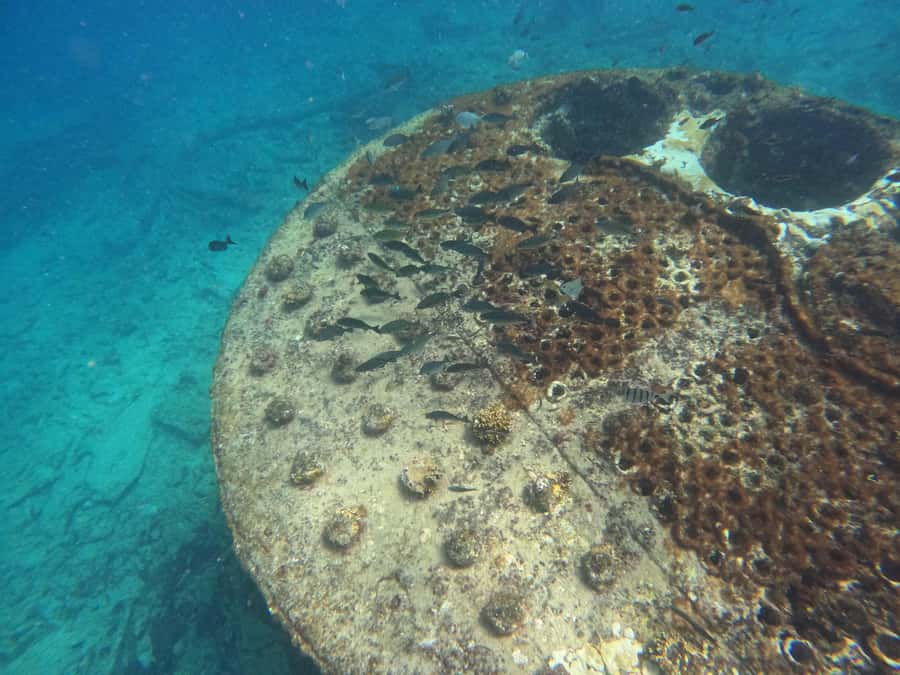 Snorkelling trip with certificate local guide - A practical checklist before you leave Santa Maria