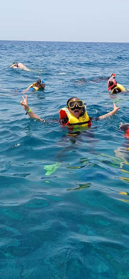 Snorkelling trip with certificate local guide - Morning or afternoon: which session works better?