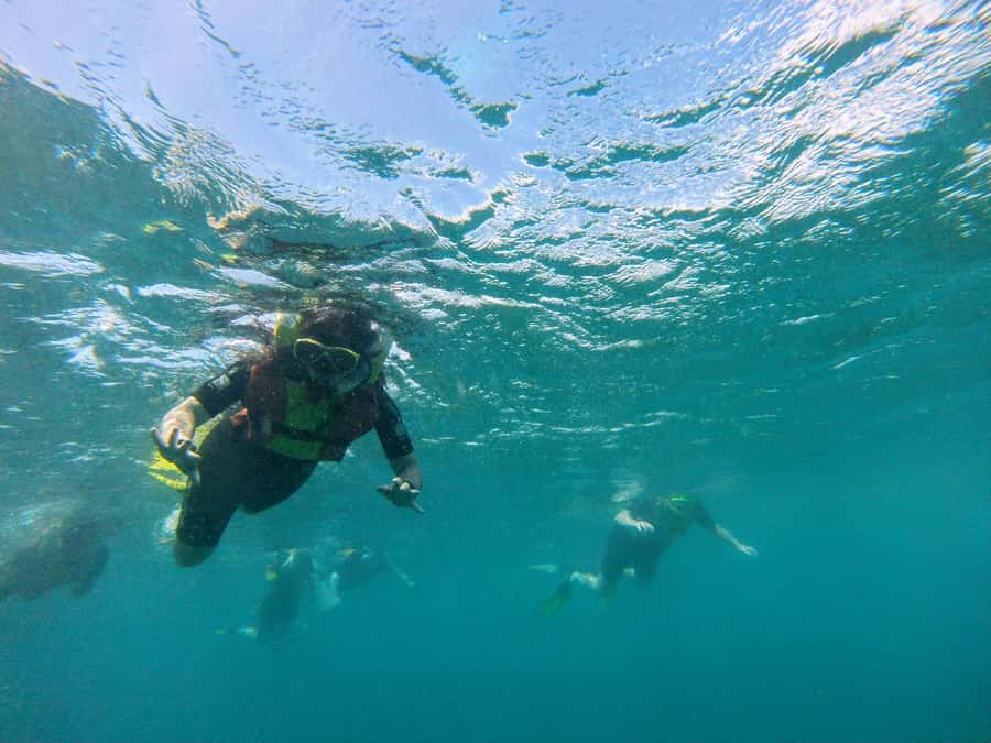Snorkelling trip with certificate local guide - Who will enjoy this trip most?