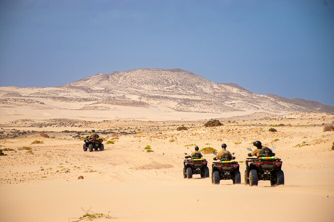 South of Boa Vista Adventure Explore the Desert by Quad - What this four-hour Boa Vista ride is really like