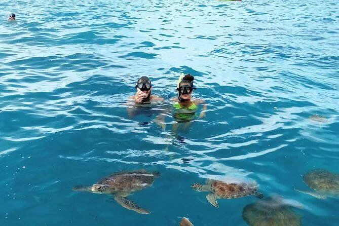 Spectacular experience with sea turtles - A short trip with a strong payoff