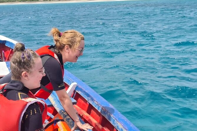 Spectacular experience with sea turtles - Who will enjoy this experience most