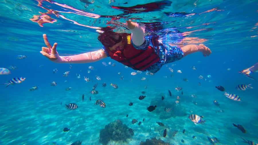 Tarrafal: Snorkeling Trip Along the Coastline - Key points to know before you book