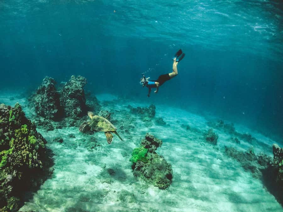 Tarrafal: Snorkeling Trip Along the Coastline - Ponta Atum and Tarrafal Beach underwater
