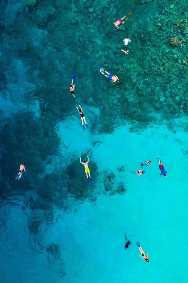 Tarrafal: Snorkeling Trip Along the Coastline - Who will enjoy this most