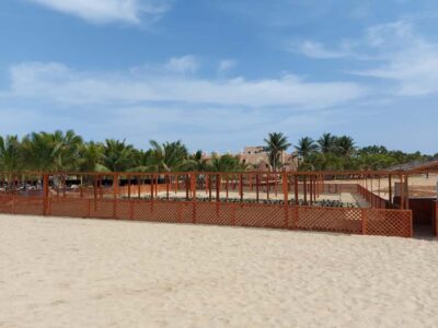 Turtle watching in Boa Vista