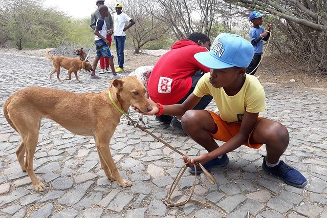 Volunteering with animals in Sao Vicente! - The $17.88 price and what it supports